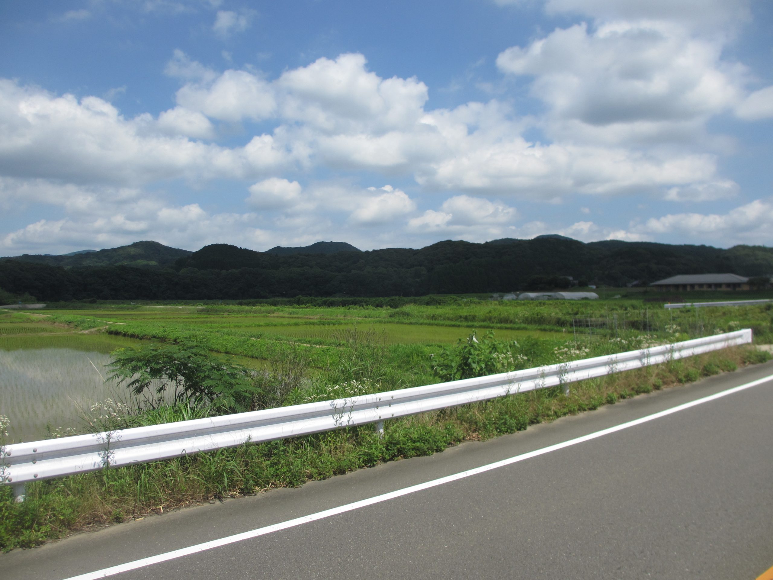 厳しい夏