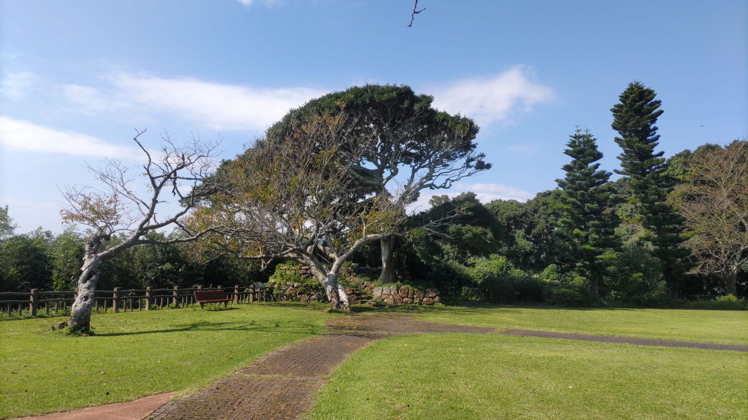 たまの休みは公園でリセット🌿
