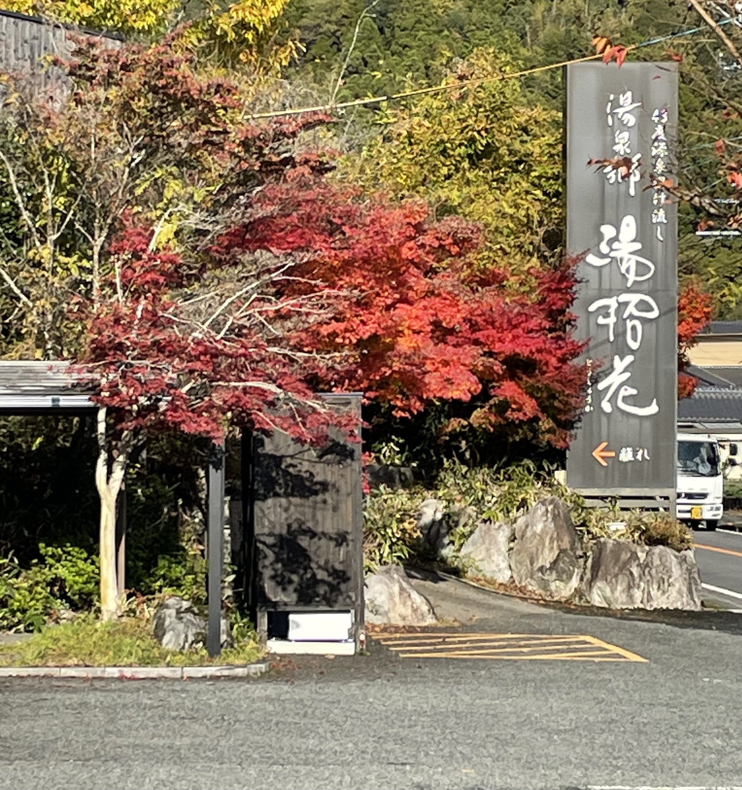 ～湯招花(とうしょうか)の秋さんぽ～