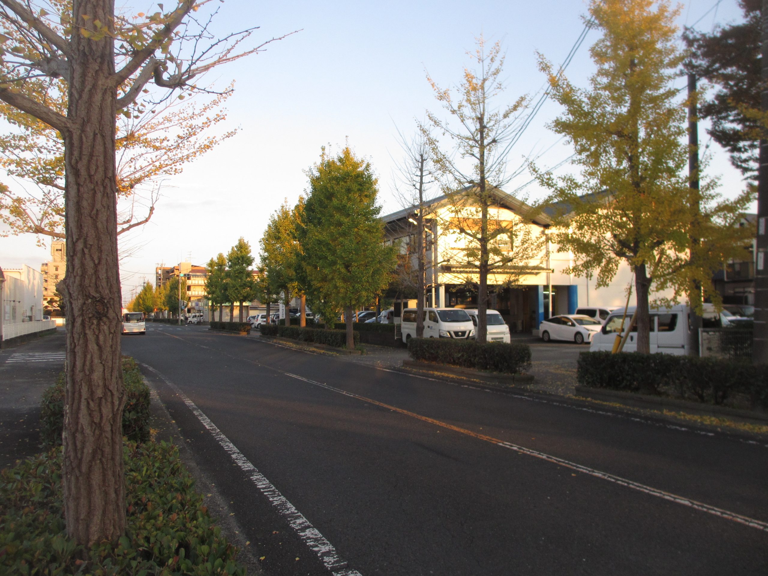 冬支度が進む季節になりました